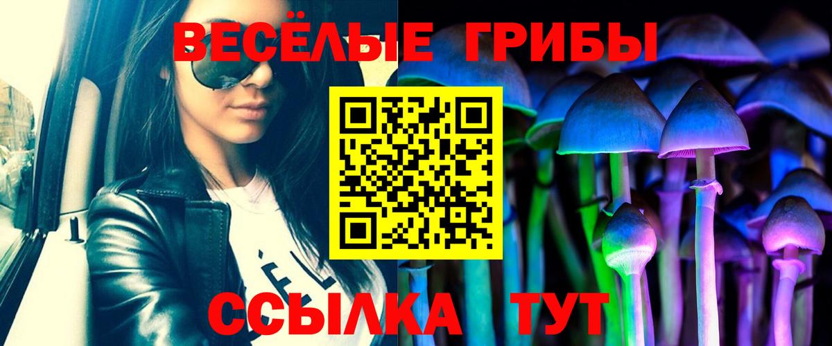 Галлюциногенные грибы MAGIC MUSHROOMS  Вход с VPN  Галлюциногенные грибы GOLDEN TEACHER  Жигулёвск 